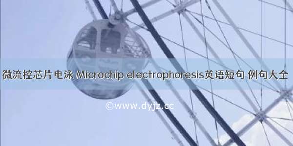 微流控芯片电泳 Microchip electrophoresis英语短句 例句大全