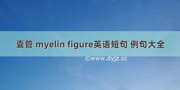 囊管 myelin figure英语短句 例句大全