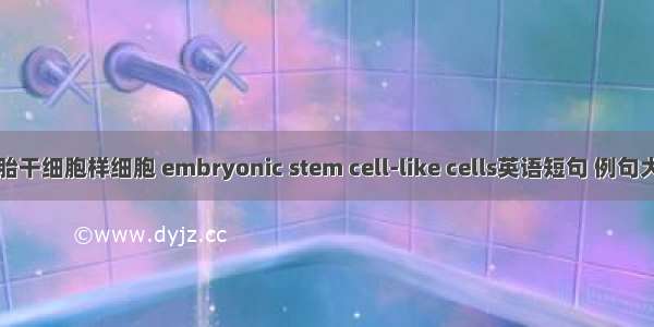 胚胎干细胞样细胞 embryonic stem cell-like cells英语短句 例句大全
