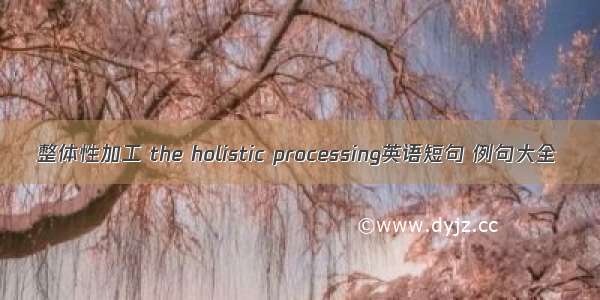 整体性加工 the holistic processing英语短句 例句大全