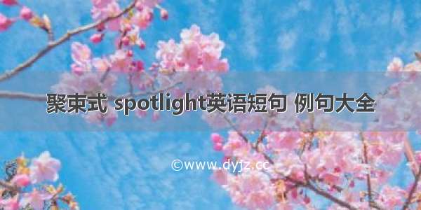 聚束式 spotlight英语短句 例句大全