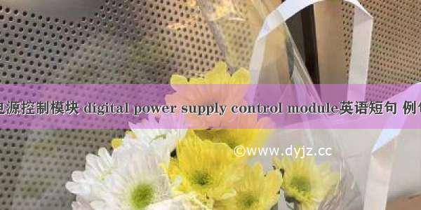 数字电源控制模块 digital power supply control module英语短句 例句大全