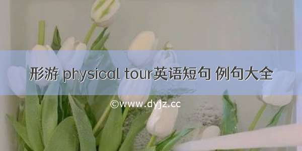 形游 physical tour英语短句 例句大全