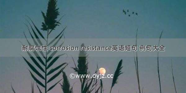 耐腐蚀性 corrosion resistance英语短句 例句大全