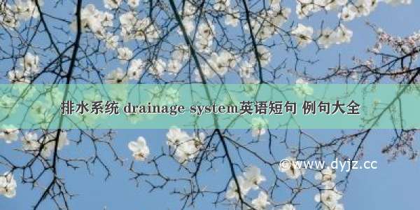 排水系统 drainage system英语短句 例句大全