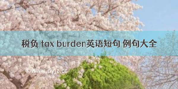 税负 tax burden英语短句 例句大全