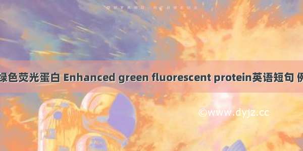 增强型绿色荧光蛋白 Enhanced green fluorescent protein英语短句 例句大全