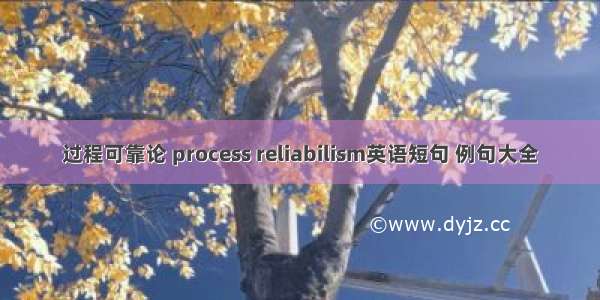 过程可靠论 process reliabilism英语短句 例句大全