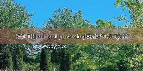 选矿工程 mineral processing英语短句 例句大全