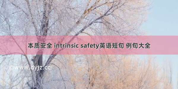 本质安全 intrinsic safety英语短句 例句大全