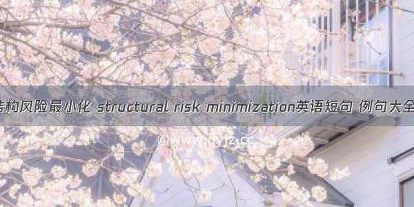 结构风险最小化 structural risk minimization英语短句 例句大全