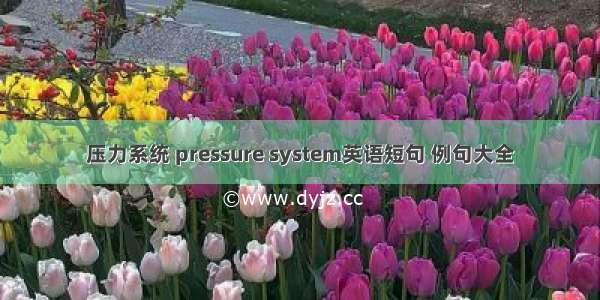 压力系统 pressure system英语短句 例句大全