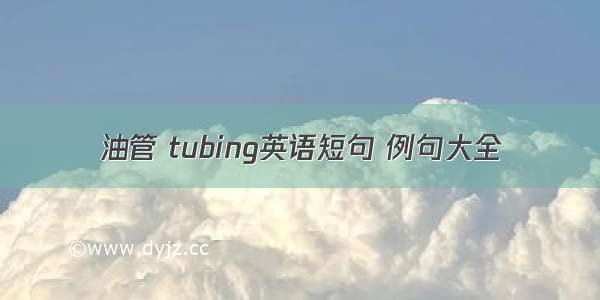 油管 tubing英语短句 例句大全