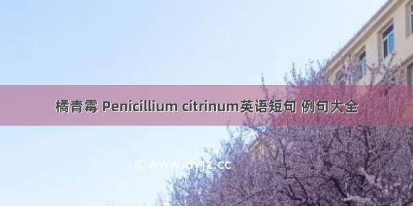 橘青霉 Penicillium citrinum英语短句 例句大全