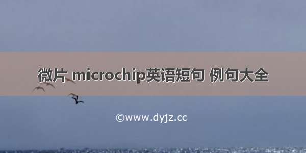 微片 microchip英语短句 例句大全