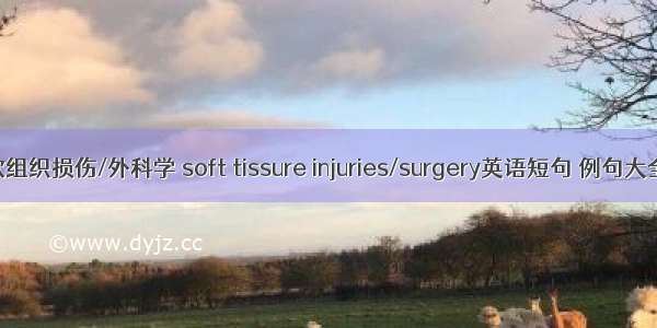软组织损伤/外科学 soft tissure injuries/surgery英语短句 例句大全