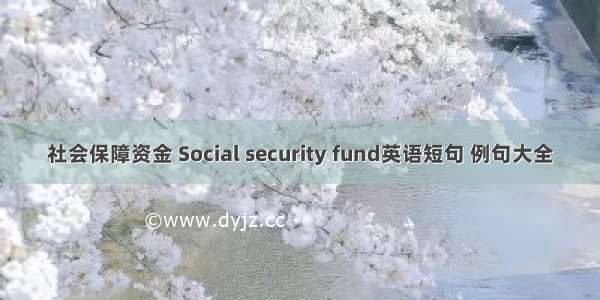 社会保障资金 Social security fund英语短句 例句大全