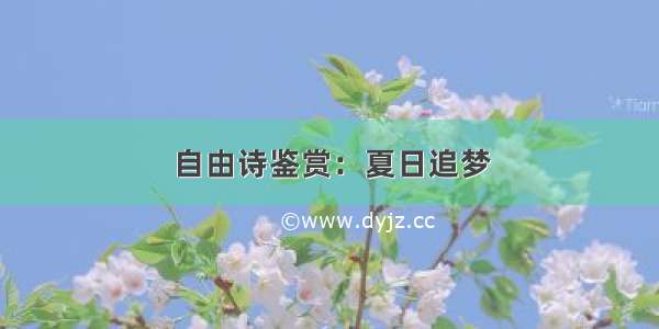 自由诗鉴赏：夏日追梦