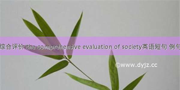 社会综合评价 the comprehensive evaluation of society英语短句 例句大全