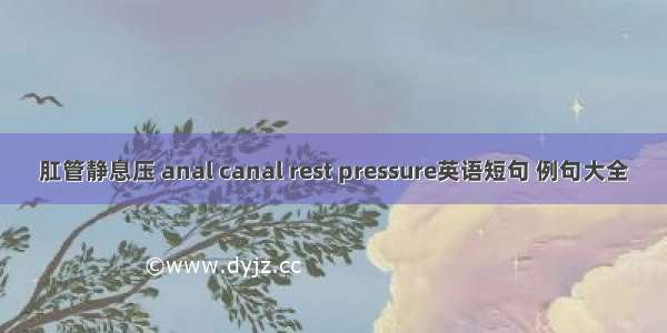 肛管静息压 anal canal rest pressure英语短句 例句大全