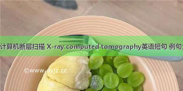 X线计算机断层扫描 X-ray computed tomography英语短句 例句大全