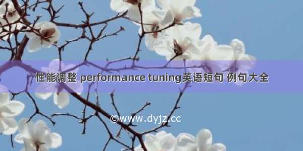 性能调整 performance tuning英语短句 例句大全