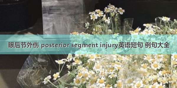 眼后节外伤 posterior segment injury英语短句 例句大全