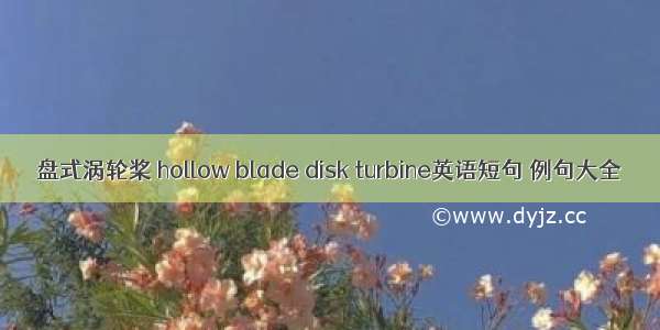 盘式涡轮桨 hollow blade disk turbine英语短句 例句大全