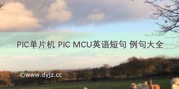 PIC单片机 PIC MCU英语短句 例句大全