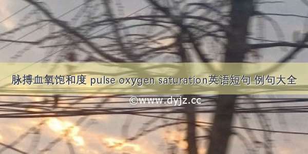 脉搏血氧饱和度 pulse oxygen saturation英语短句 例句大全