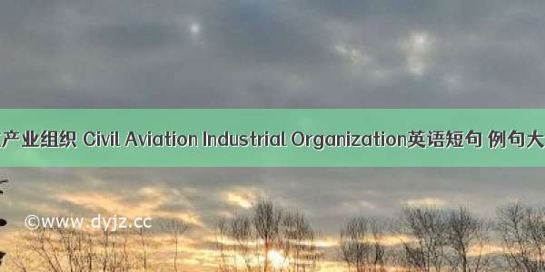 民航产业组织 Civil Aviation Industrial Organization英语短句 例句大全