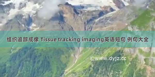 组织追踪成像 Tissue tracking imaging英语短句 例句大全