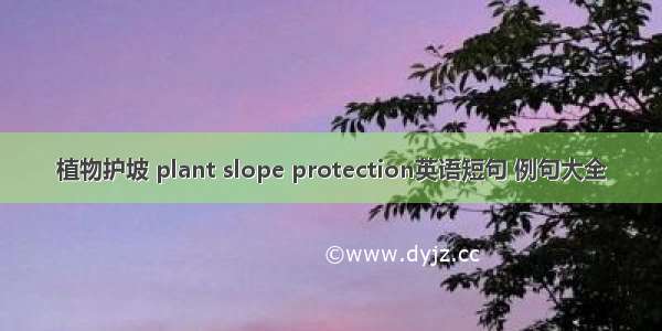 植物护坡 plant slope protection英语短句 例句大全