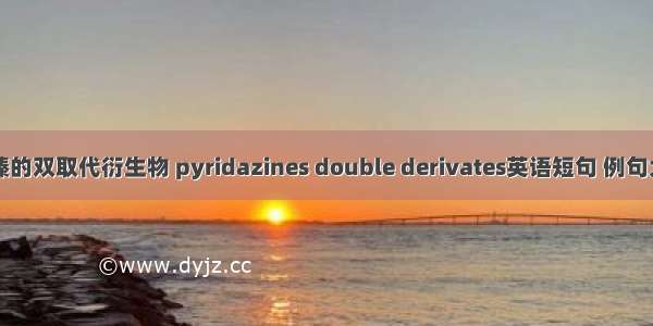 哒嗪的双取代衍生物 pyridazines double derivates英语短句 例句大全