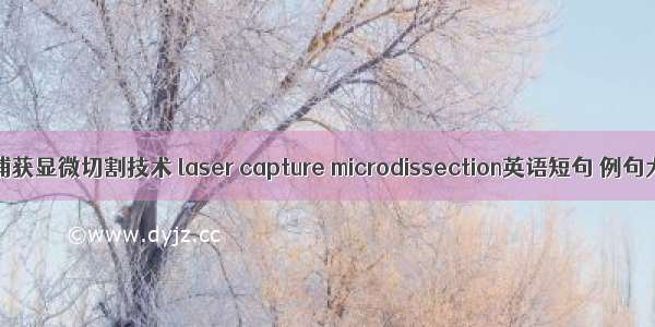 激光捕获显微切割技术 laser capture microdissection英语短句 例句大全