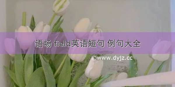 语场 field英语短句 例句大全