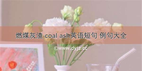 燃煤灰渣 coal ash英语短句 例句大全