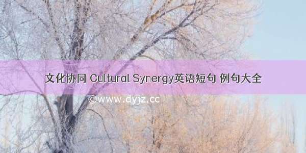 文化协同 Cultural Synergy英语短句 例句大全