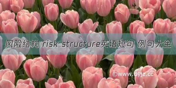 风险结构 risk structure英语短句 例句大全