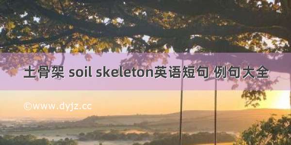 土骨架 soil skeleton英语短句 例句大全