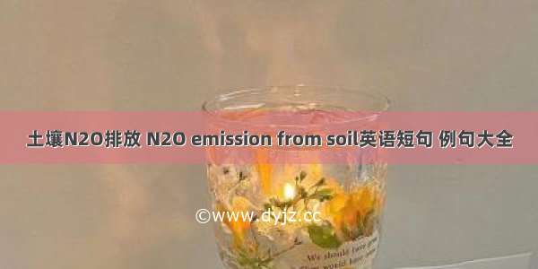土壤N2O排放 N2O emission from soil英语短句 例句大全