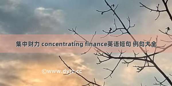 集中财力 concentrating finance英语短句 例句大全