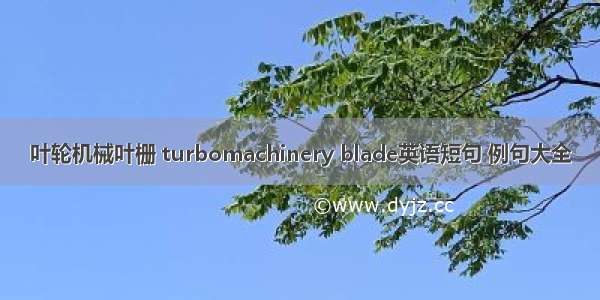 叶轮机械叶栅 turbomachinery blade英语短句 例句大全