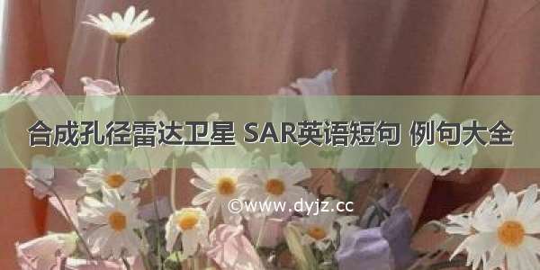 合成孔径雷达卫星 SAR英语短句 例句大全