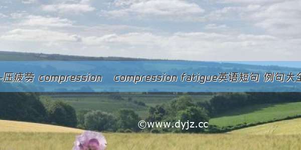 压-压疲劳 compressioncompression fatigue英语短句 例句大全