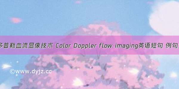 彩色多普勒血流显像技术 Color Doppler flow imaging英语短句 例句大全