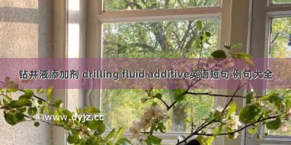 钻井液添加剂 drilling fluid additive英语短句 例句大全