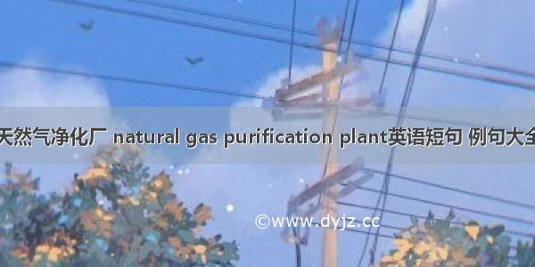 天然气净化厂 natural gas purification plant英语短句 例句大全