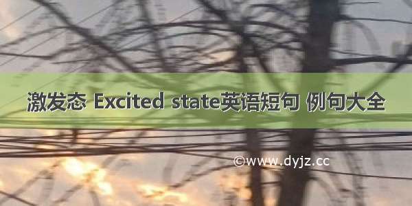 激发态 Excited state英语短句 例句大全