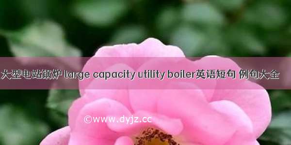 大型电站锅炉 large capacity utility boiler英语短句 例句大全